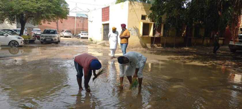 ਬਰਨਾਲਾ ’ਚ ਅਨੋਖ਼ਾ ਪ੍ਰਦਰਸ਼ਨ! ਸਰਕਾਰੀ ਦਫ਼ਤਰ ’ਚ ਖੜ੍ਹੇ ਬਰਸਾਤੀ ਪਾਣੀ ’ਚ ਲਾ ਦਿੱਤਾ ਝੋਨਾ