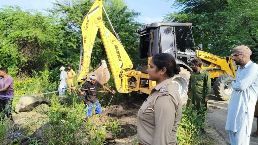 ਬਰਨਾਲਾ : ਡਰੇਨ ’ਚ ਡੁੱਬਣ ਨਾਲ 39 ਦੁਧਾਰੂ ਪਸ਼ੂਆਂ ਦੀ ਮੌਤ, ਪਰਿਵਾਰ ’ਤੇ ਟੁੱਟਿਆ ਕਹਿਰ