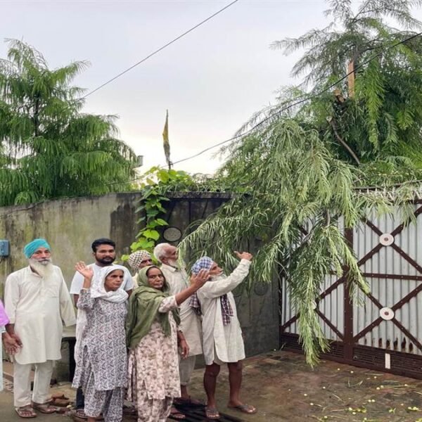 ਜ਼ਿਲ੍ਹਾ ਬਰਨਾਲਾ ‘ਚ ਕਈ ਥਾਈਂ ਡਿੱਗੀ ਅਸਮਾਨੀ ਬਿਜਲੀ, ਪਾੜੇ ਦਰੱਖਤ, ਲੋਕਾਂ ਸਹਿਮੇ