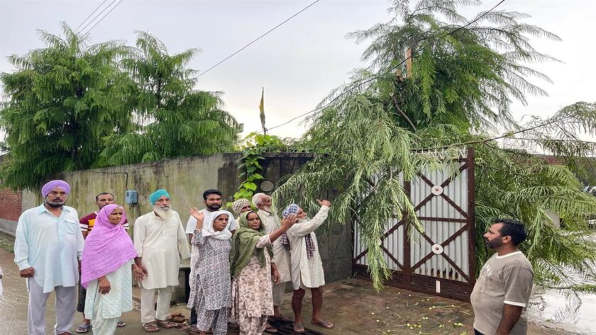 ਜ਼ਿਲ੍ਹਾ ਬਰਨਾਲਾ ‘ਚ ਕਈ ਥਾਈਂ ਡਿੱਗੀ ਅਸਮਾਨੀ ਬਿਜਲੀ, ਪਾੜੇ ਦਰੱਖਤ, ਲੋਕਾਂ ਸਹਿਮੇ