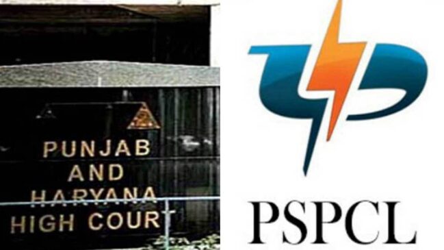 PSPCL ਦੀ ਪ੍ਰਾਪਰਟੀ ਵੇਚਣ ’ਤੇ ਪਾਬੰਦੀ, ਰਾਜ ਸਰਕਾਰ ਤੋਂ 16 ਮਾਰਚ ਤੱਕ ਮੰਗਿਆ ਜਵਾਬ