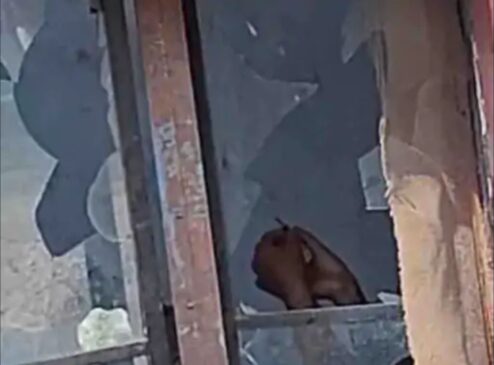 ਜਲੰਧਰ ਦੇ ਬਸਤੀ ਸ਼ੇਖ ਦਾ ਦਸ਼ਹਿਰਾ ਗਰਾਊਂਡ ਬਣਿਆ ਨਸ਼ੇੜੀਆਂ ਦਾ ਅੱਡਾ, ਪ੍ਰਾਈਵੇਟ ਪਾਰਟ ‘ਤੇ ਸ਼ਰੇਆਮ ਇੰਜੈਕਸ਼ਨ ਲਗਾਉਂਦੇ ਨੌਜਵਾਨ ਦੀ ਵੀਡੀਓ ਵਾਇਰਲ