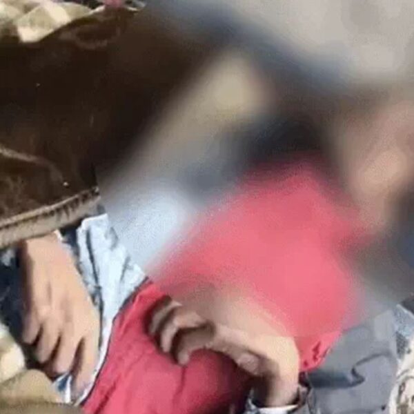 ਫੁੱਟਪਾਥ ‘ਤੇ ਸੁੱਤੇ ਮਜ਼ਦੂਰ ਨੂੰ ਚੂਹਿਆਂ ਨੇ ਬਣਾਇਆ ਸ਼ਿਕਾਰ, ਇਲਾਜ ਦੀ ਘਾਟ ਕਾਰਨ ਮੌਤ